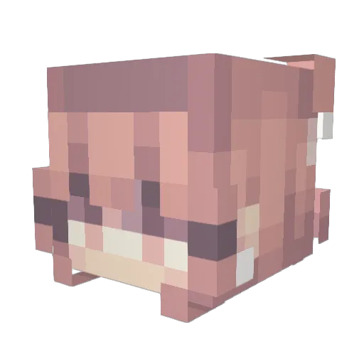 anqt Minecraft avatar head, 3D render