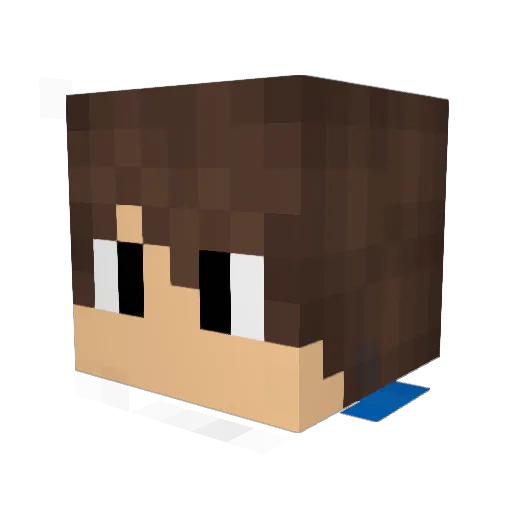 anrdh25 Minecraft avatar head, 3D render