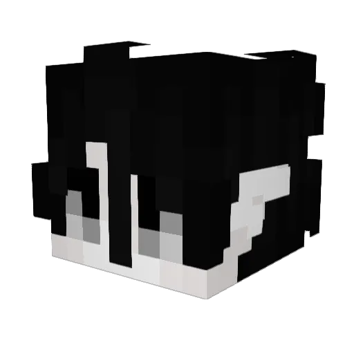 ansab1 Minecraft avatar head, 3D render