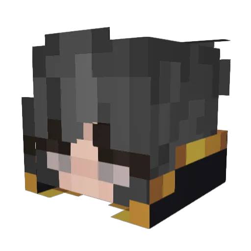 anschax Minecraft avatar head, 3D render