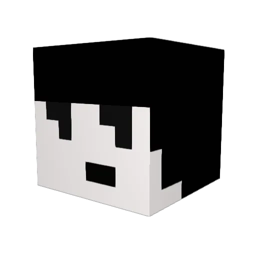 anseer0 Minecraft avatar head, 3D render