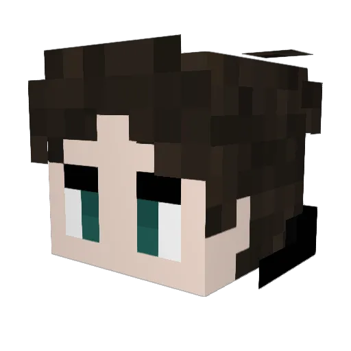 anselmii Minecraft avatar head, 3D render