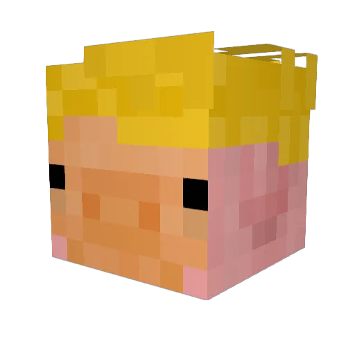 ansewa Minecraft avatar head, 3D render
