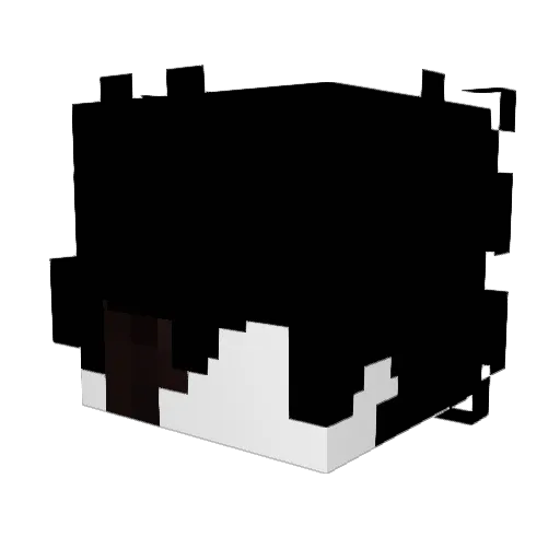 ansfir Minecraft avatar head, 3D render