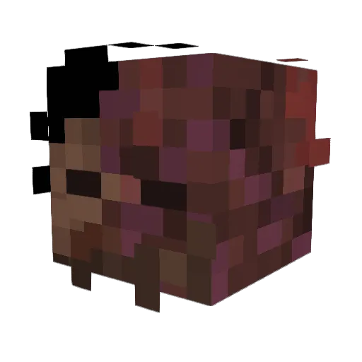 anshrajput Minecraft avatar head, 3D render