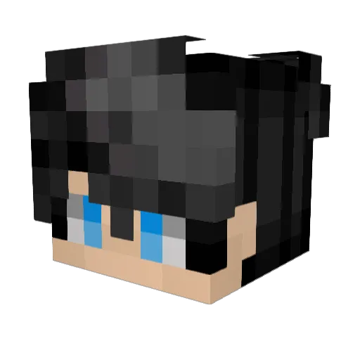 anson0208 Minecraft avatar head, 3D render