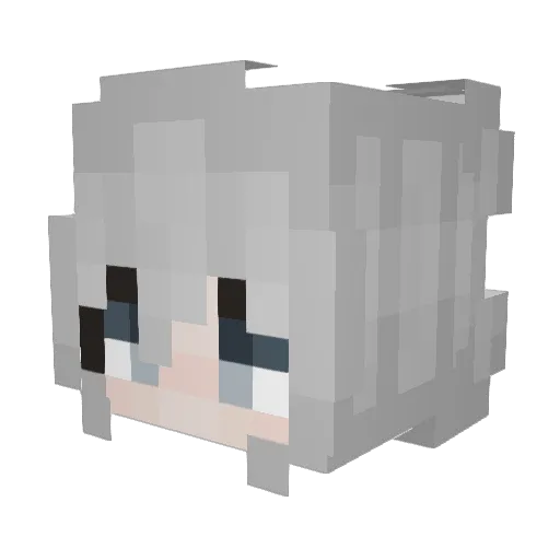 anson529 Minecraft avatar head, 3D render
