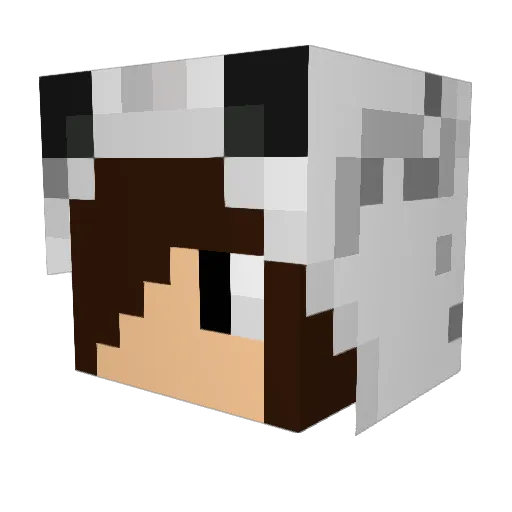 ansonpEq Minecraft avatar head, 3D render