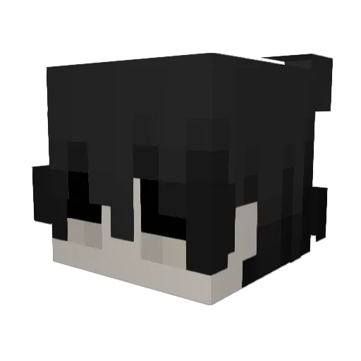 ant0nyyyy Minecraft avatar head, 3D render