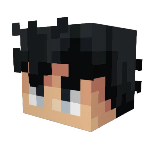 ant223LK Minecraft avatar head, 3D render