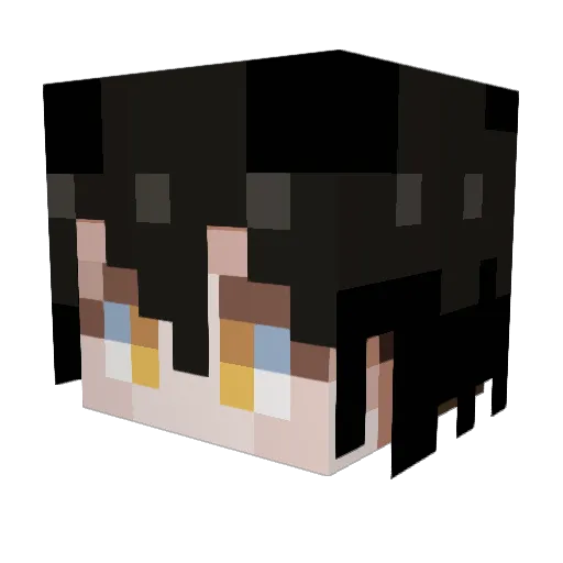 antarcticTern Minecraft avatar head, 3D render