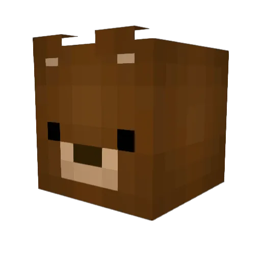 anteaterdebugger Minecraft avatar head, 3D render