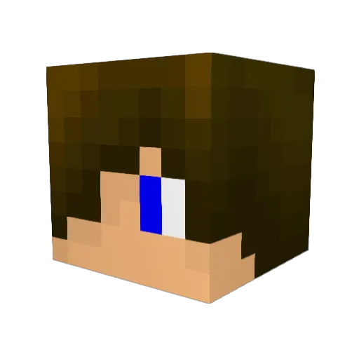 anth89 Minecraft avatar head, 3D render