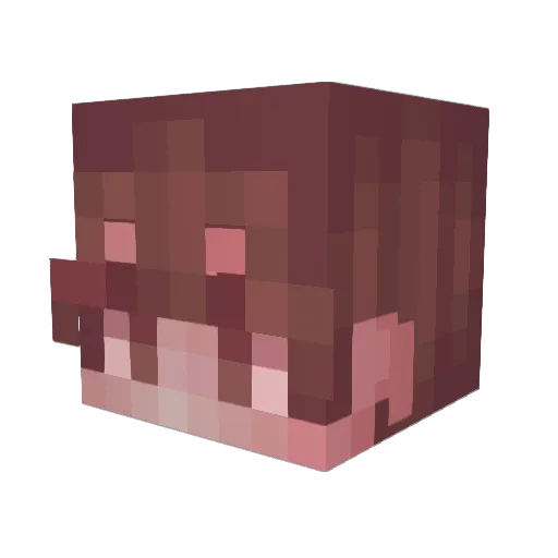 anthleia Minecraft avatar head, 3D render