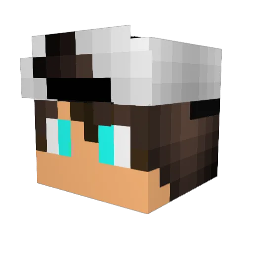 anthony123565 Minecraft avatar head, 3D render