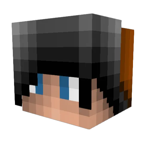 anthony8205 Minecraft avatar head, 3D render