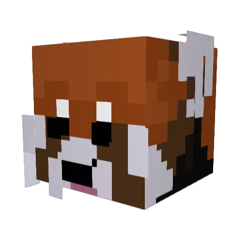 anthony_q Minecraft avatar head, 3D render