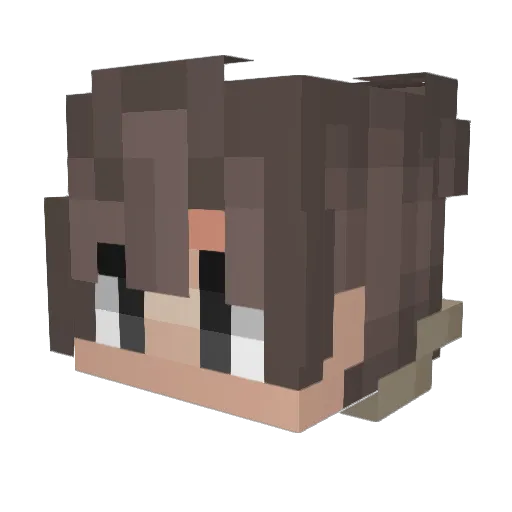 anthonyfps_ Minecraft avatar head, 3D render