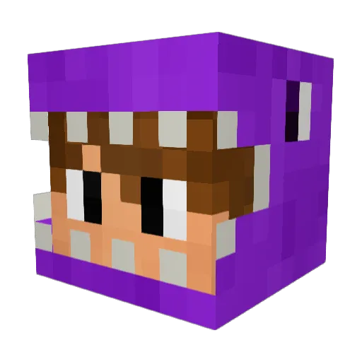 anthonyneverfail Minecraft avatar head, 3D render