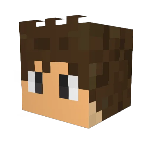 anthonyvargas Minecraft avatar head, 3D render