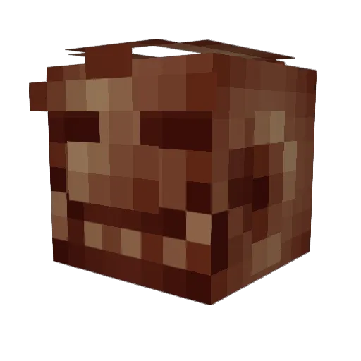 anthrcpology Minecraft avatar head, 3D render
