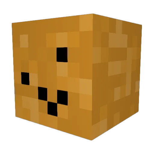 anthzer02388 Minecraft avatar head, 3D render