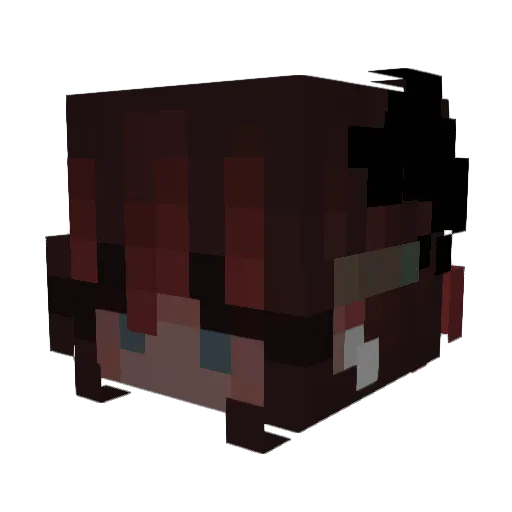 antibiotiquess Minecraft avatar head, 3D render