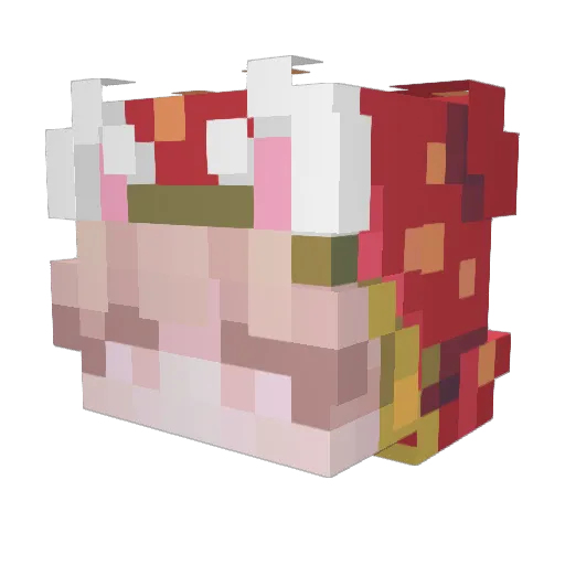 antiboyotic Minecraft avatar head, 3D render