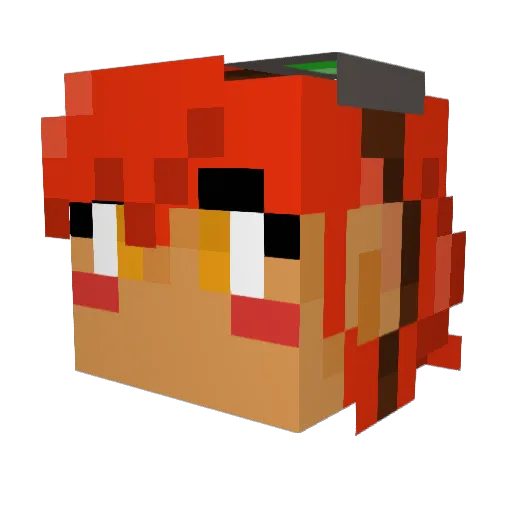 anticapt Minecraft avatar head, 3D render