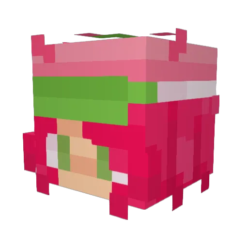 anticjnj Minecraft avatar head, 3D render