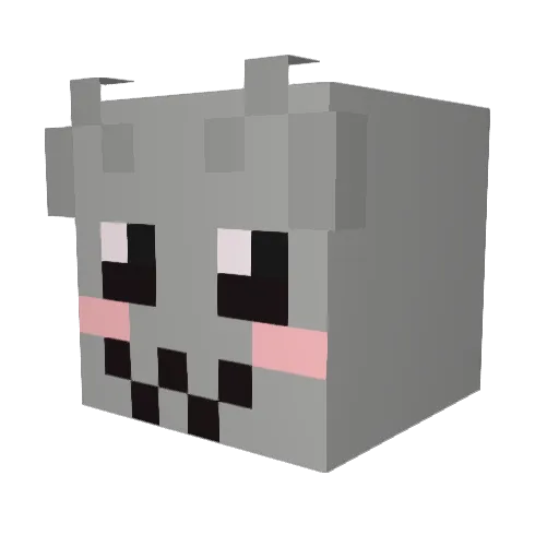 anticrizn Minecraft avatar head, 3D render