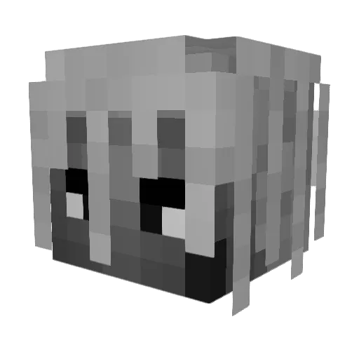 antidayouth972 Minecraft avatar head, 3D render