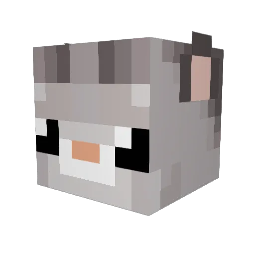 antidotess Minecraft avatar head, 3D render