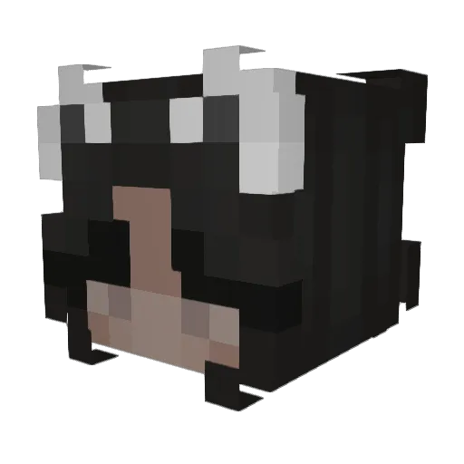 antiedatermorg Minecraft avatar head, 3D render