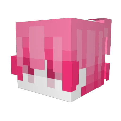 antifatigue Minecraft avatar head, 3D render
