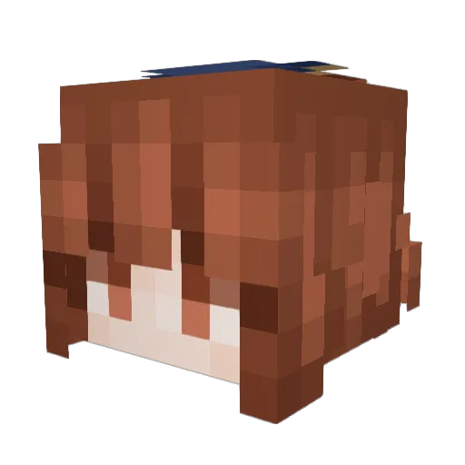 antihealed Minecraft avatar head, 3D render