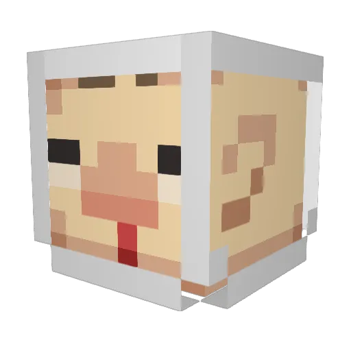 antinemma Minecraft avatar head, 3D render