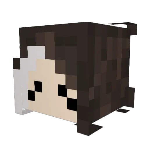antioops Minecraft avatar head, 3D render