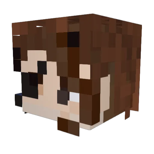 antipoison120 Minecraft avatar head, 3D render