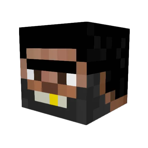antisom Minecraft avatar head, 3D render