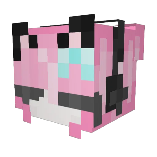 antiwarps Minecraft avatar head, 3D render