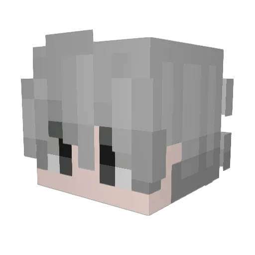 anto5257 Minecraft avatar head, 3D render