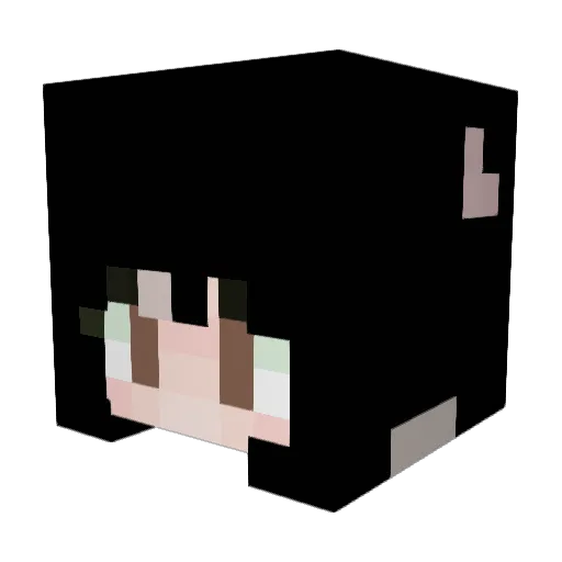 antobx Minecraft avatar head, 3D render