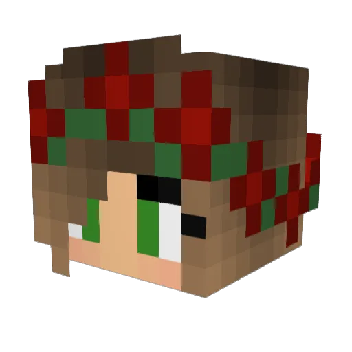 anton10000000 Minecraft avatar head, 3D render
