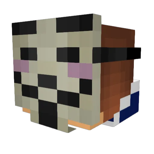 antosk8 Minecraft avatar head, 3D render