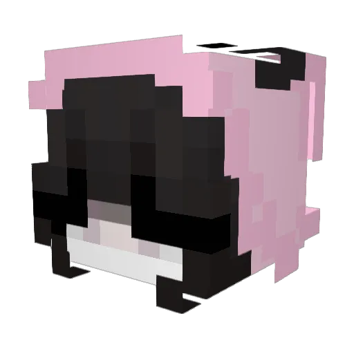 antovvsia Minecraft avatar head, 3D render