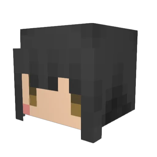 anubi00 Minecraft avatar head, 3D render