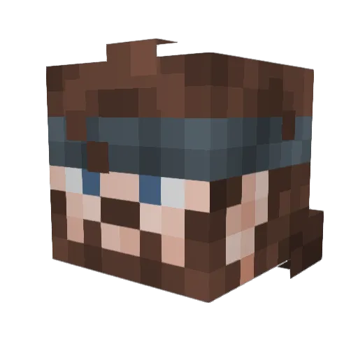 anubis112 Minecraft avatar head, 3D render