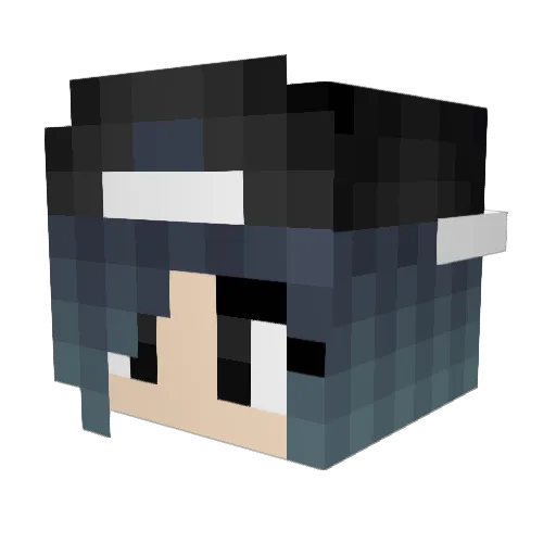anubisgame Minecraft avatar head, 3D render