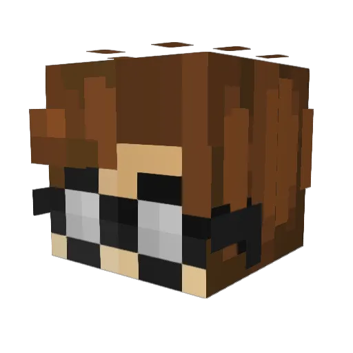anugget22 Minecraft avatar head, 3D render